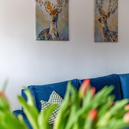 Apartament Lisowski Centrum زاكوباني المظهر الخارجي الصورة